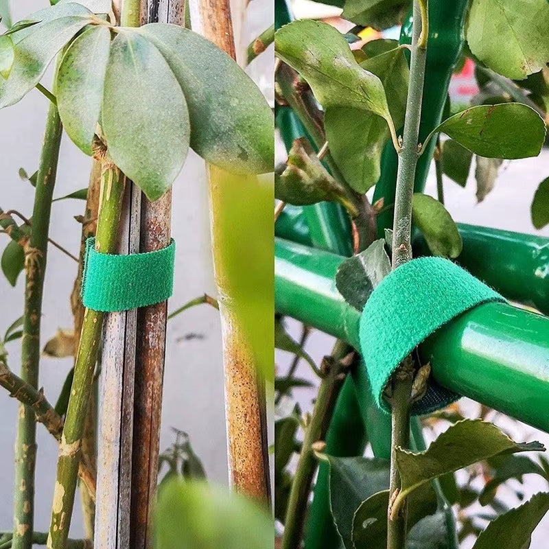 10 Roll Nylon Plant Ties Plant Bandage Hook Tie Loop Adjustable Plant Support Reusable Fastener Tape for Home Garden Accessories