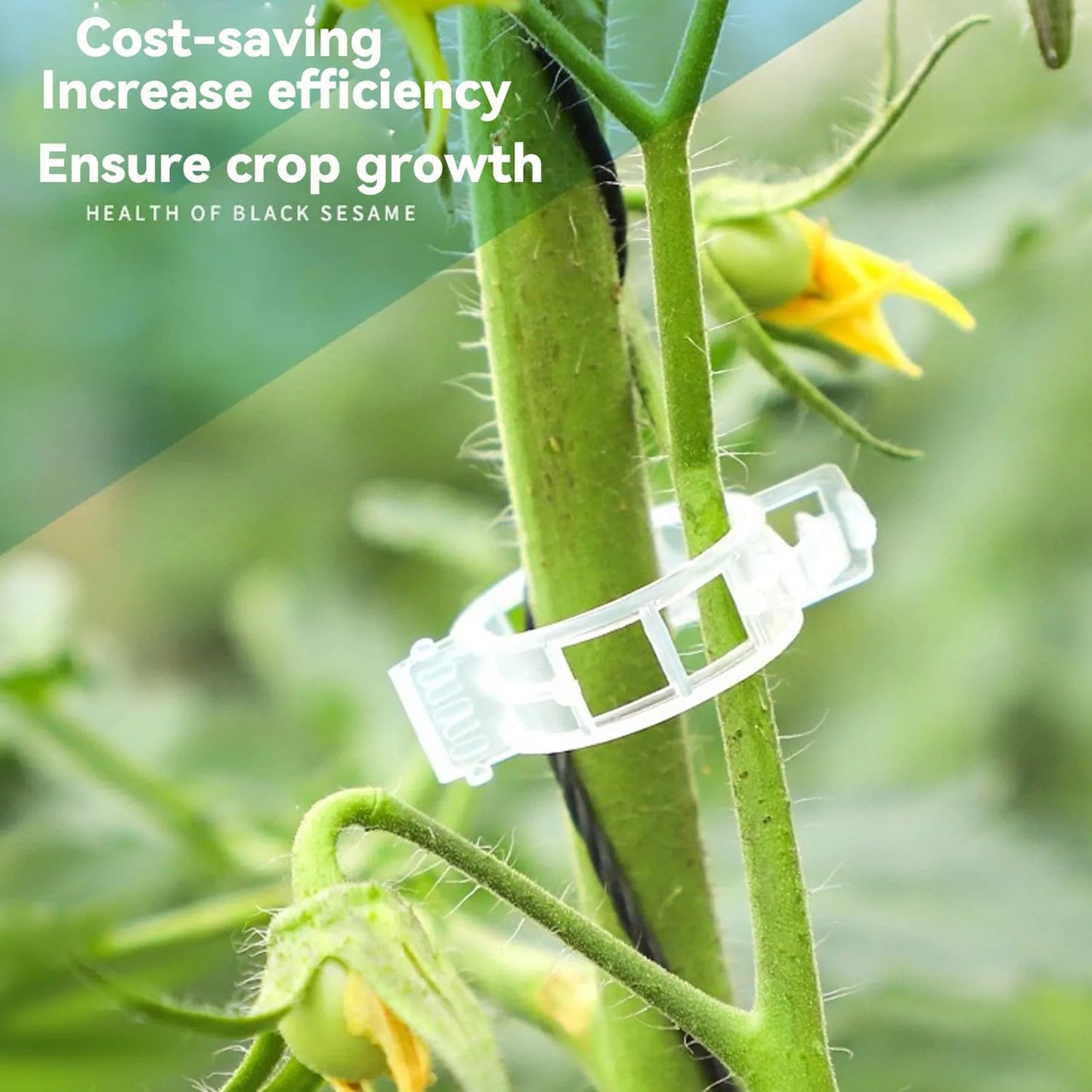 Garden Vegetable Fixing Clips