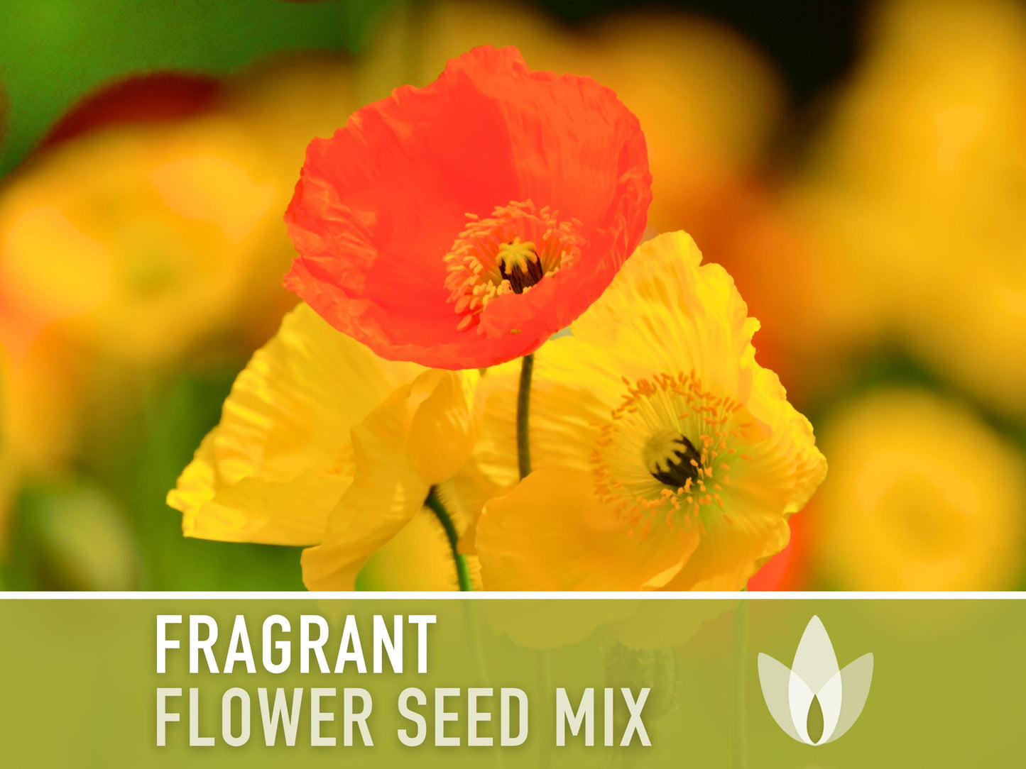 Fragrant Flower Seed Mix