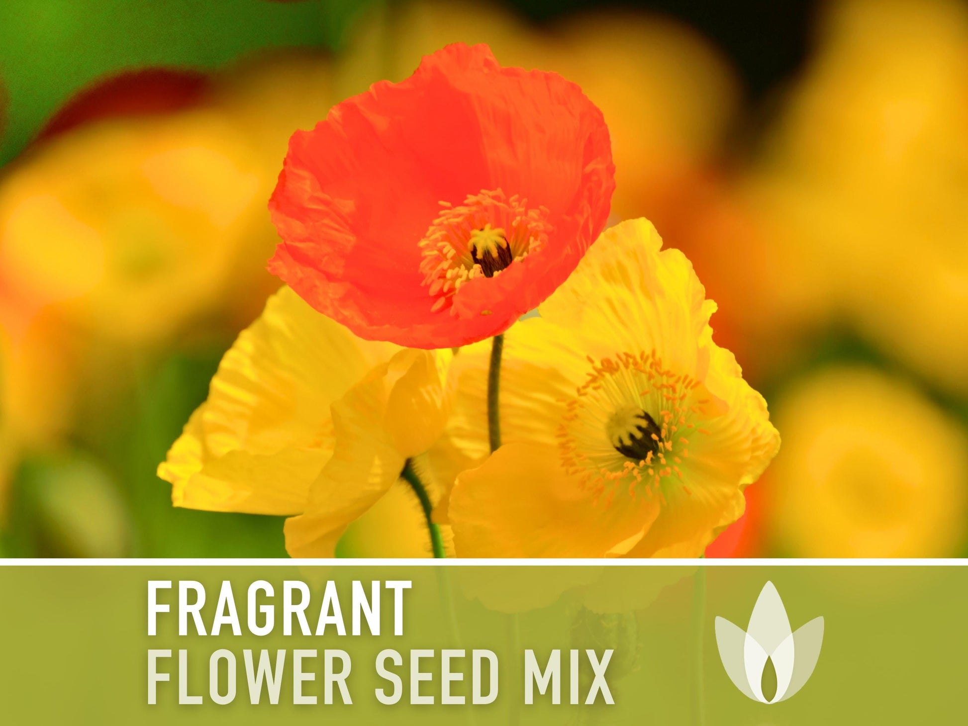 Fragrant Flower Seed Mix