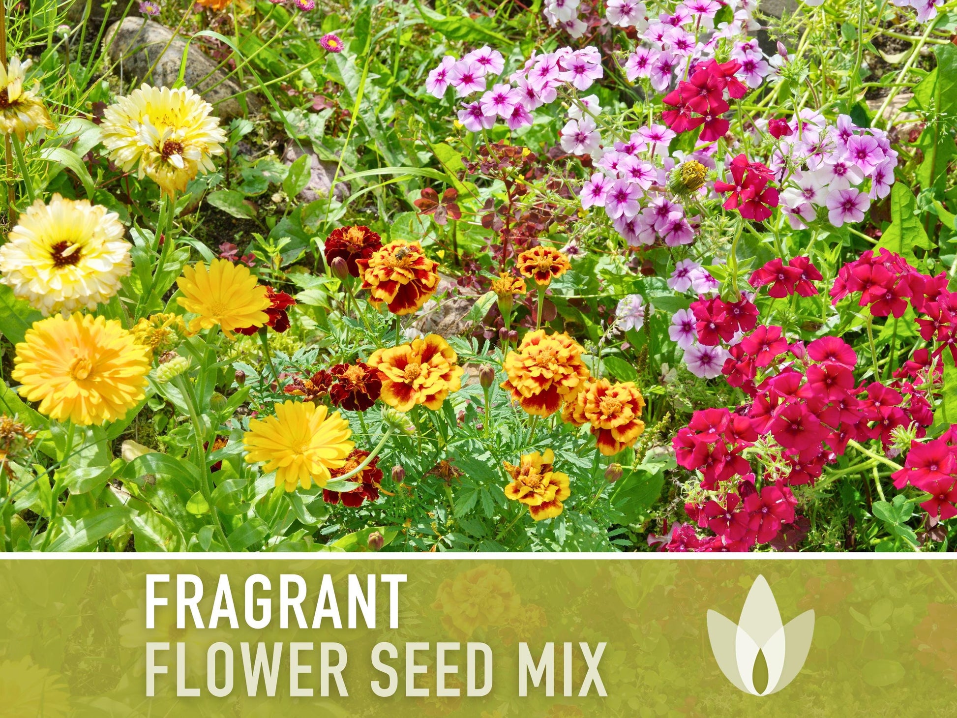 Fragrant Flower Seed Mix