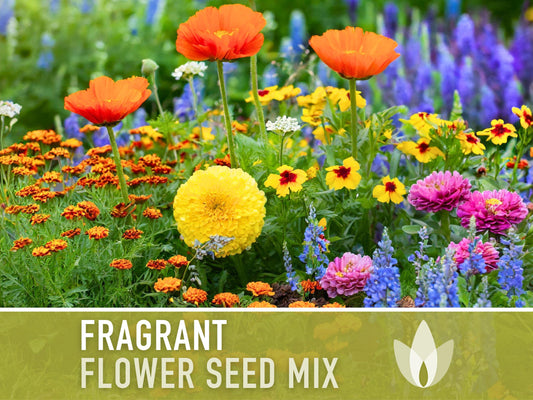 Fragrant Flower Seed Mix