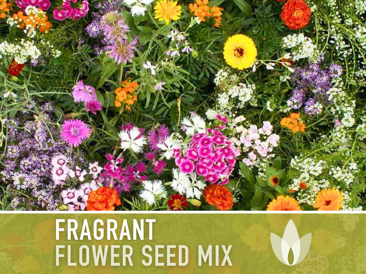 Fragrant Flower Seed Mix