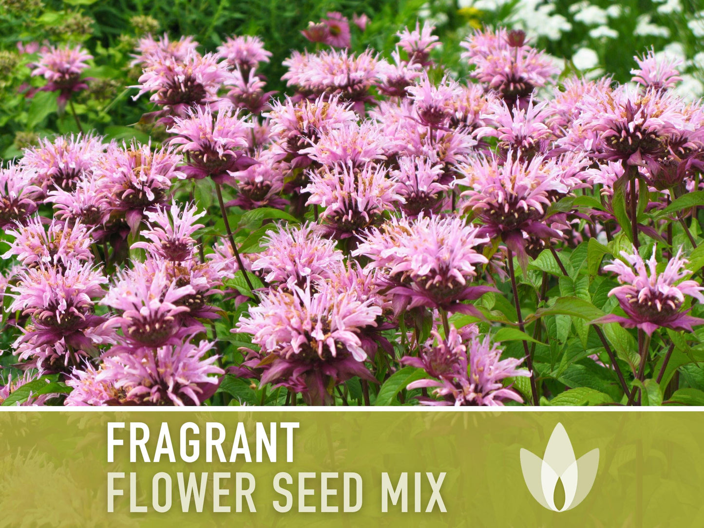 Fragrant Flower Seed Mix